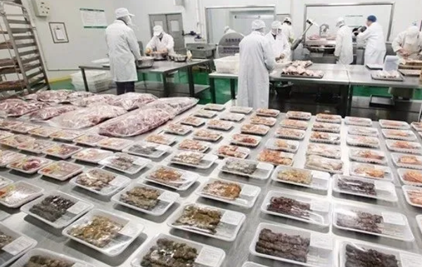 1589351580126494.png tuna (1).png