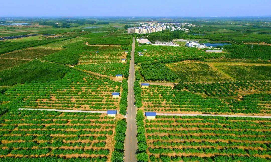 1612494960118487.jpg 1612494960118487.jpg